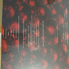 Dream Theater – Distance Over Time (Deluxe Collector’s Box S - pikkukuva 2