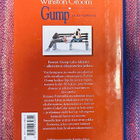 Winston Groom - Gump Ja Kumppani - pikkukuva 2