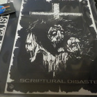 PROOF OF EXISTENCE - SCRIPTURAL.. 1ST SWE - 03 PRESS LP UUSI - pikkukuva 1