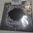 SKUGGCHEIM / FULLBYRDET M-/M- 7'' SPLIT EP - pikkukuva 2