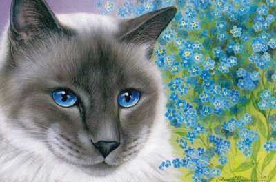 Irina Garmashova: Kissa, lemmikit