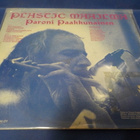 PARONI PAAKKUNAINEN - PLASTIC MAAILMA EX+/VG+ LP (W) - pikkukuva 2