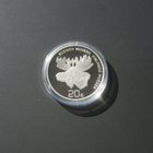 2023 20€ PROOF Suomen museot - Museoliitto 100 vuotta - pikkukuva 2