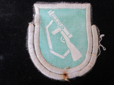 Koulutushaaramerkki m/49