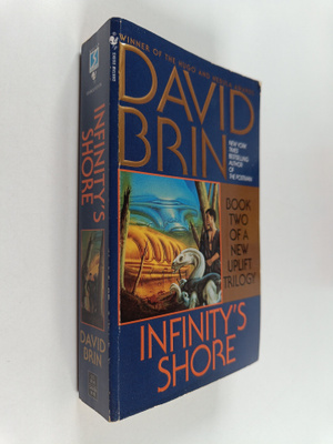 David Brin : Infinity's Shore