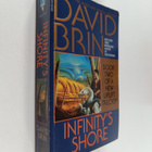 David Brin : Infinity's Shore - pikkukuva 1
