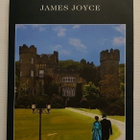 James Joyce - Finnegans Wake - pikkukuva 1