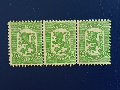 Vaasan malli 5p