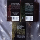 Jean Rabe: The Dhamon saga 1-3, dragonlance - pikkukuva 2