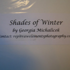 Georgia Michalicek Valokuvavedos Shades of Winter - pikkukuva 3