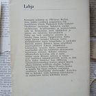 Vladimir Nabokov - Lahja (nid.) - pikkukuva 2