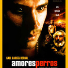 Amores Perros - DVD - pikkukuva 1