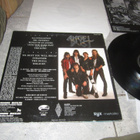 Angel Dust  – To Dust You Will Decay ( LP v 1988 ) + LIITE - pikkukuva 2