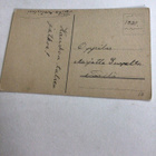 Kukkia vuodesta 1924 - pikkukuva 2