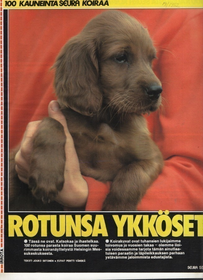 Rotunsa ykköset. 100 kauneinta koiraa.
