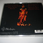 Destroyer 666 - Unchain The Wolves (CD) - pikkukuva 2
