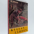 Gil Brewer : Kullan tähden - pikkukuva 1