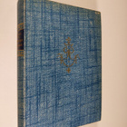 Aune Peippo : Peitetyt ikkunat - pikkukuva 1
