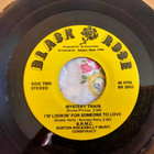 Boston Rockabilly Music Conspiracy EP - pikkukuva 2