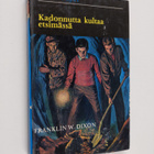 Franklin W. Dixon : Kadonnutta kultaa etsimässä - pikkukuva 1