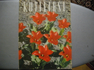 Kotiliesi Nro 9/1954 (15.3)