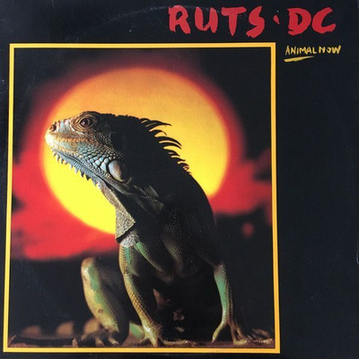 Ruts DC – Animal Now