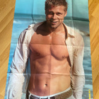 Brad Pitt juliste - pikkukuva 1
