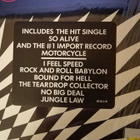 Love And Rockets – Love And Rockets - LP - pikkukuva 4