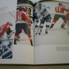 Leijonien mitalijuhlaa, jääkiekko 1991-94 - pikkukuva 2