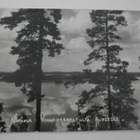 Kangasala, näkymä Vehoniemen harjulta Roineelle, p. 1937 - pikkukuva 1
