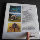 Hallmen - Janzon - LÄHIKUVASSA OTUS - pikkukuva 2