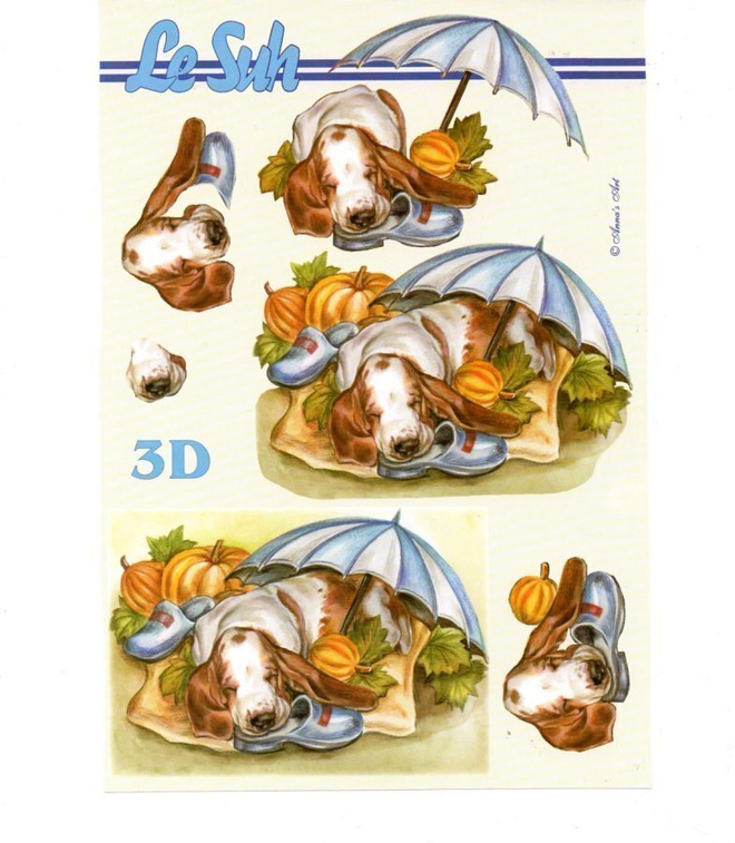 3D "°KOIRA & SYKSYINEN PUUTARHA"°