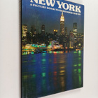David Gibbon : New york : a picture book to remember her by - pikkukuva 1