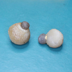 Kaksi kalsiitti - kalsiitti pallo palloa 153.80 ct Marokko - pikkukuva 1