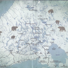Mikko Kamula: Kalevan pojat (Metsän kansa 4) kirjastopoisto - pikkukuva 4