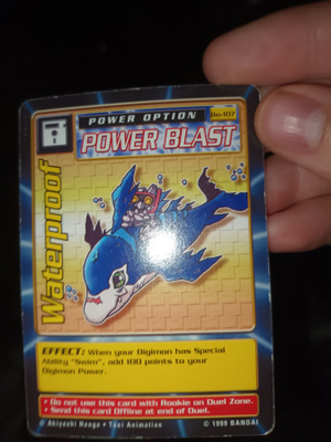 Digimon Digi-Battle Waterproof Bo-107 Vintage Card 1999