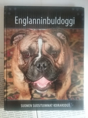 Suomen suosituimmat koirarodut: Englanninbuldoggi