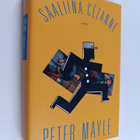 Peter Mayle : Saaliina Cezanne - pikkukuva 1