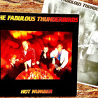 Fabulous Thunderbirds, HOT NUMBER LP - pikkukuva 2
