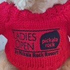 PRG Teddy Bear Nalle pehmo Pehmolelu - pikkukuva 2