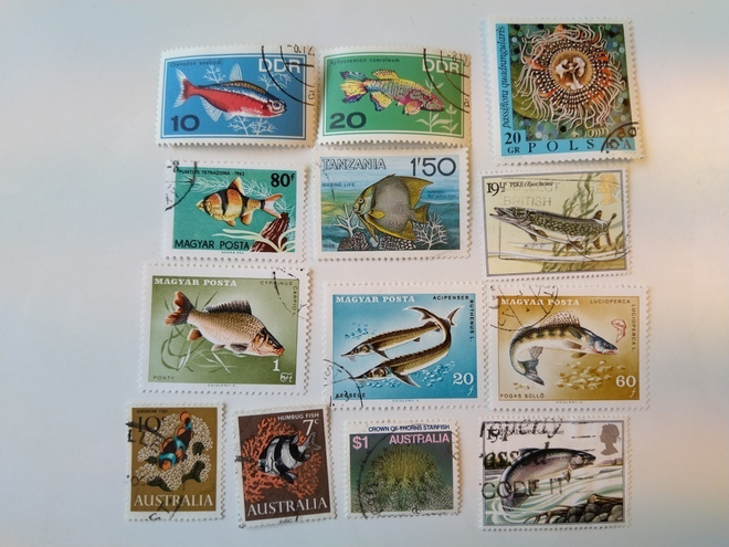 Postimerkki aihekokoelma kaloja 13 erilaista