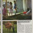 Eläin maailma n:o 2 1986 Tikat. Kotihiiri. Neontetrat. - pikkukuva 5