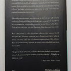 J. P. Donleavy - Holtiton mies - pikkukuva 3