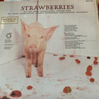 THE DAMNED: Strawberries * UK 1982 - pikkukuva 2