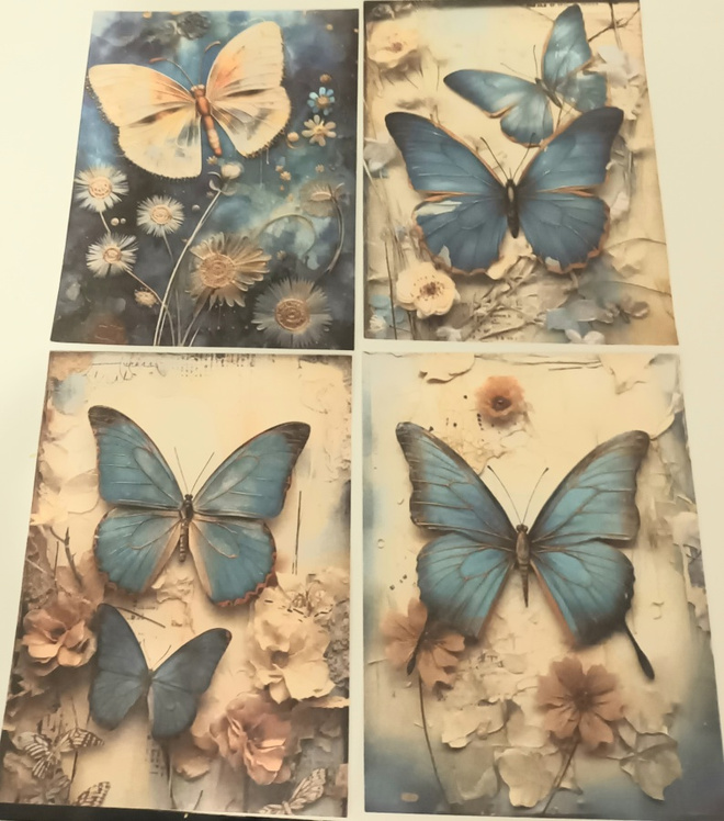 Korttikuvat PERHOSET / 4 kpl -setti / A6