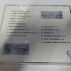 IZZY STRADLIN - TAKE A LOOK AT THE GUY UUSI 1994 CD - pikkukuva 2
