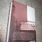 Kunta kaupungin kupeessa – Lapppeen historia II Vuodet 1865- - pikkukuva 2