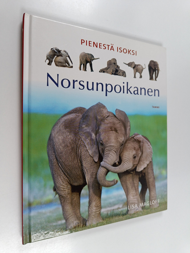 Lisa Magloff : Norsunpoikanen