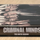 Criminal Minds - FBI-tutkijat: Kausi 9 (5DVD) - pikkukuva 3