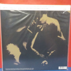 EDDY CURRENT SUPPRESSION RING - S/T U.S 2009 PRESS M-/EX+ LP - pikkukuva 2